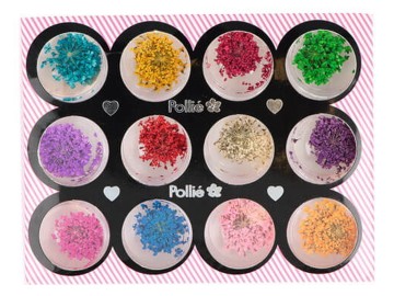 Pollié Flores Secas P/ Unhas