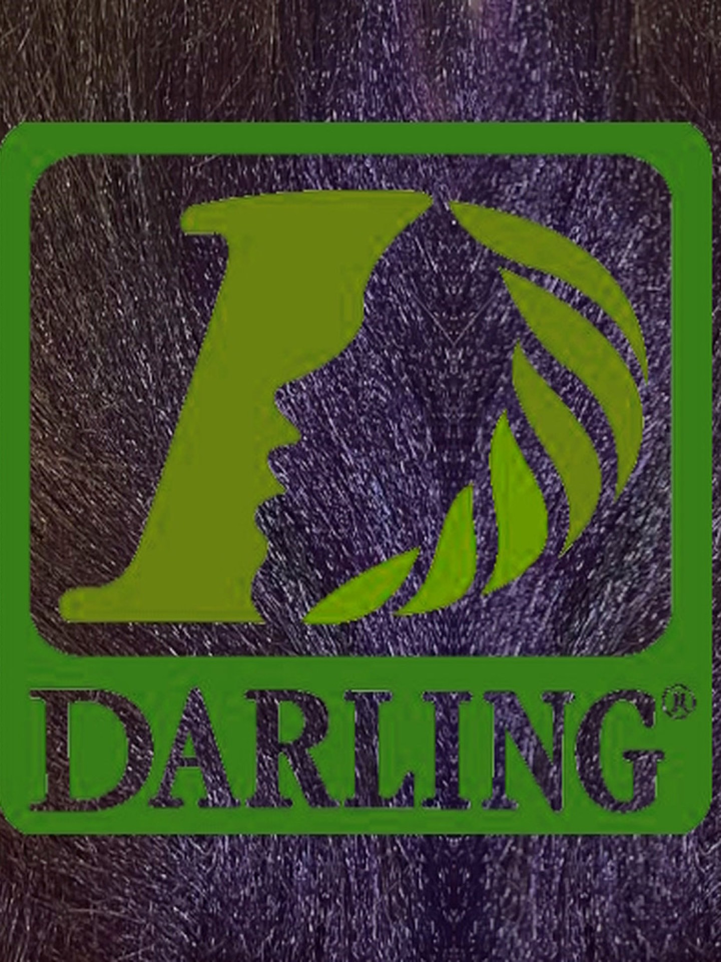 Darling Xpression - T2/950