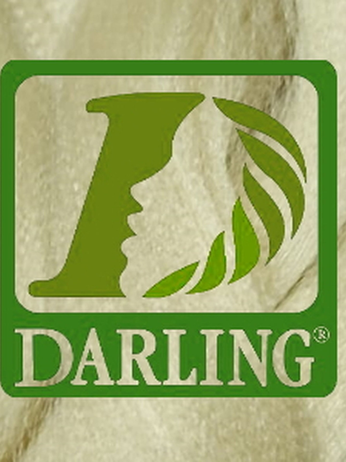 Darling Xpression no 613