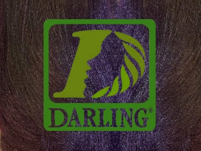 Darling Xpression - T2/950 - Image product