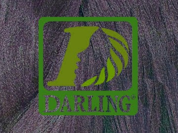 Darling Xpression - 950