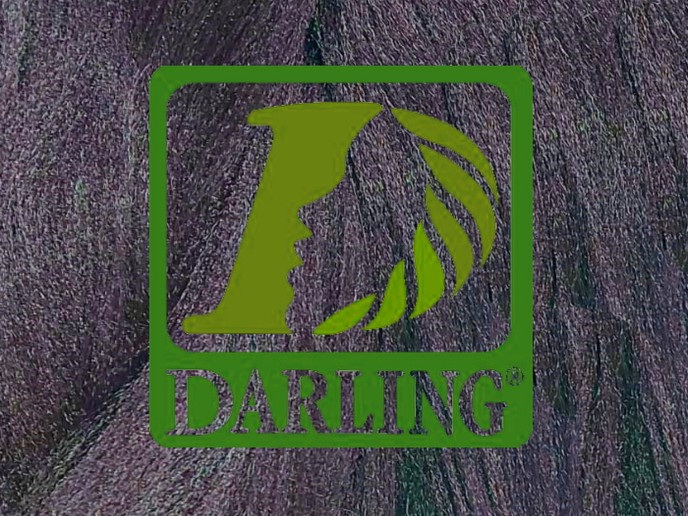 Darling Xpression - 950