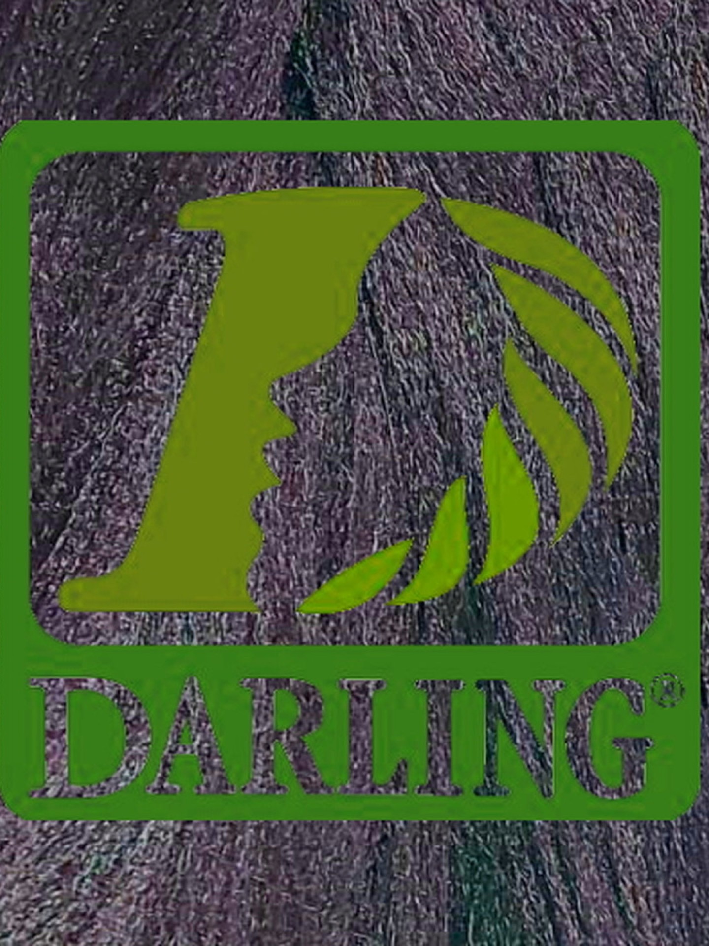 Darling Xpression - 950