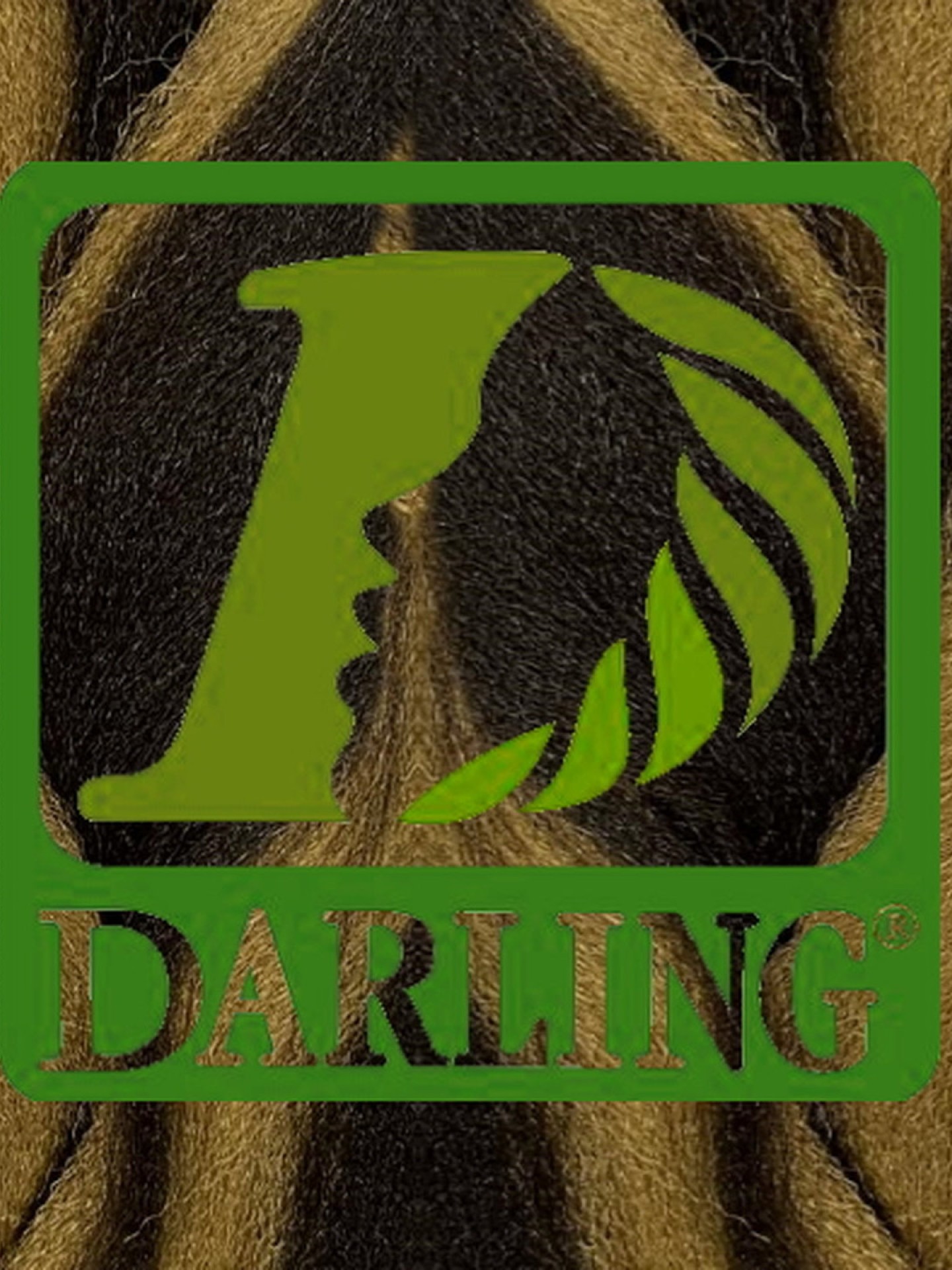 Darling Xpression no4/27