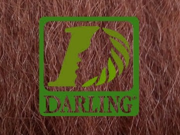 Darling Xpression no35