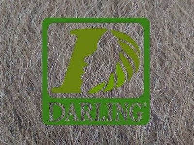 Darling Xpression no 30 - Image product