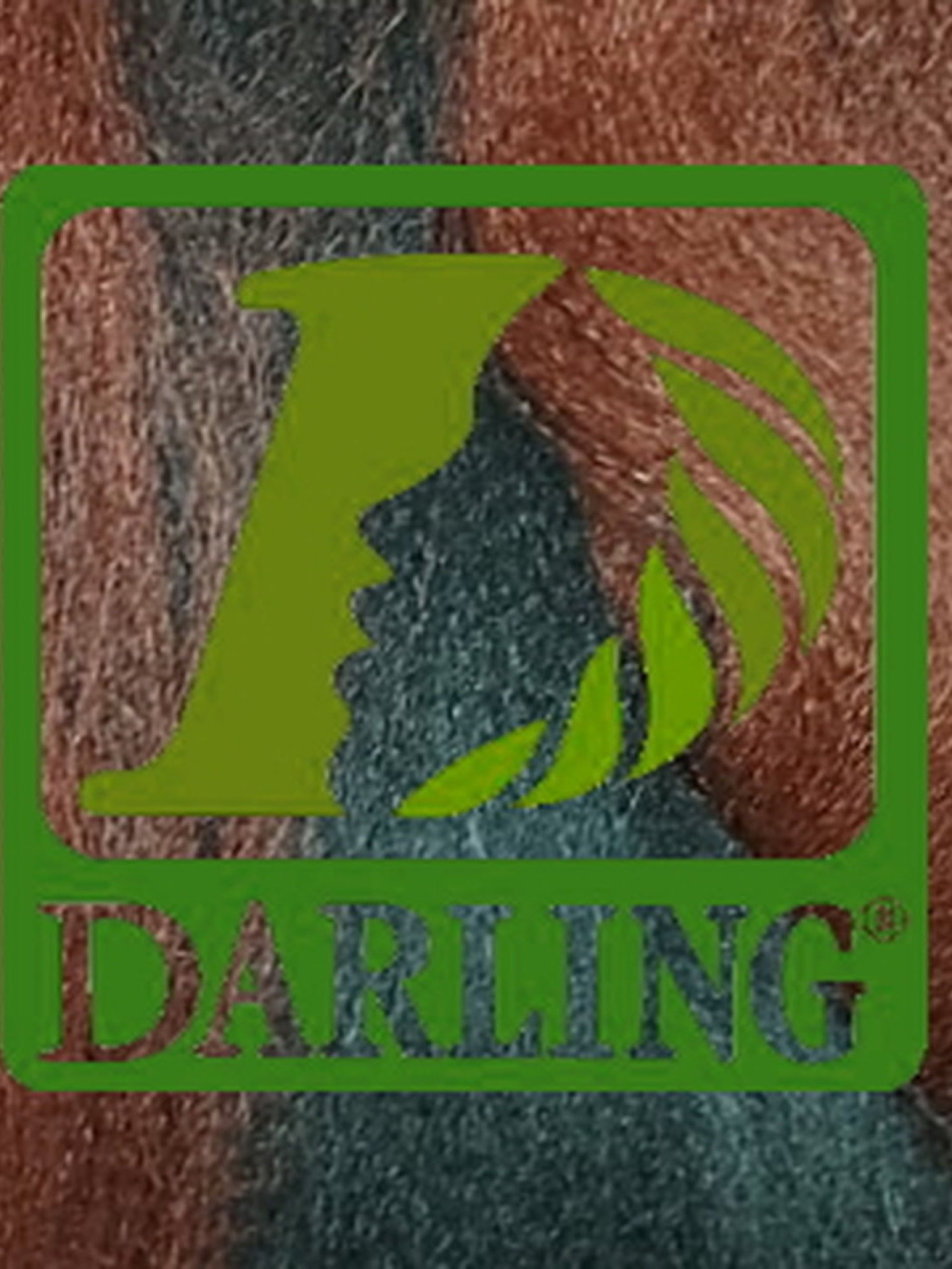 Darling Xpression no2/35