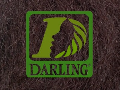 Darling Xpression no 33 - Image product
