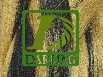 Darling Xpression - 2/27 - Image product