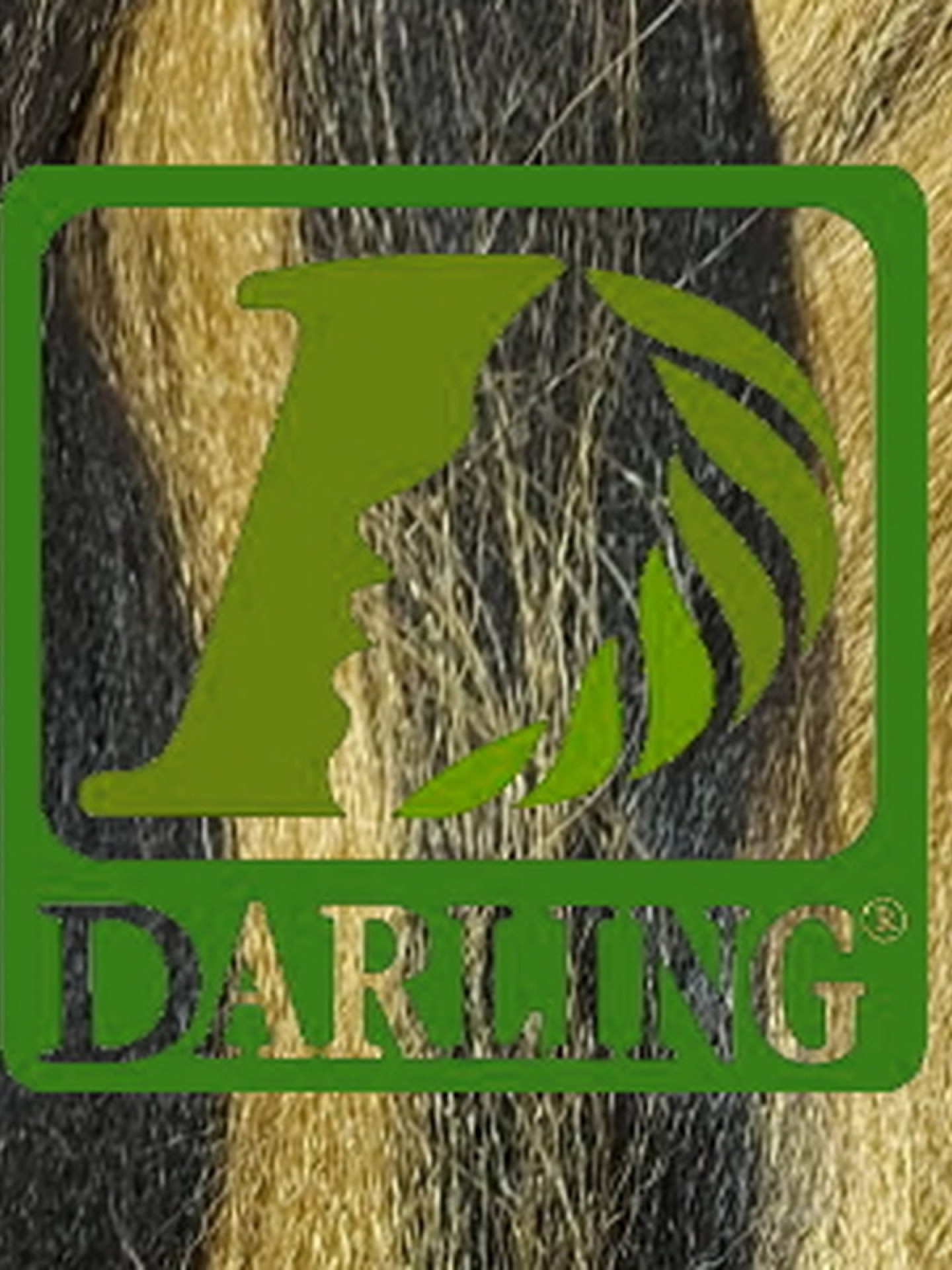 Darling Xpression - 2/27