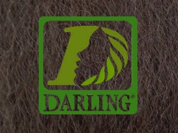 Darling Xpression no 8