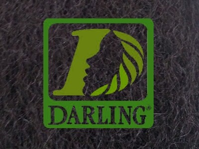Darling Xpression - 2 - Image product