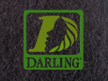 Darling Xpression - 2