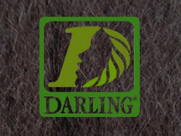Darling Xpression - 4
