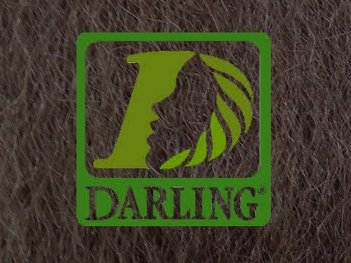Darling Xpression no 8