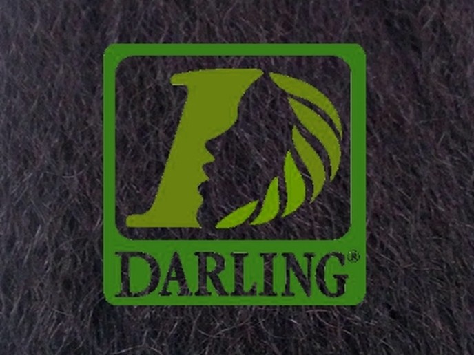 Darling Xpression - 1