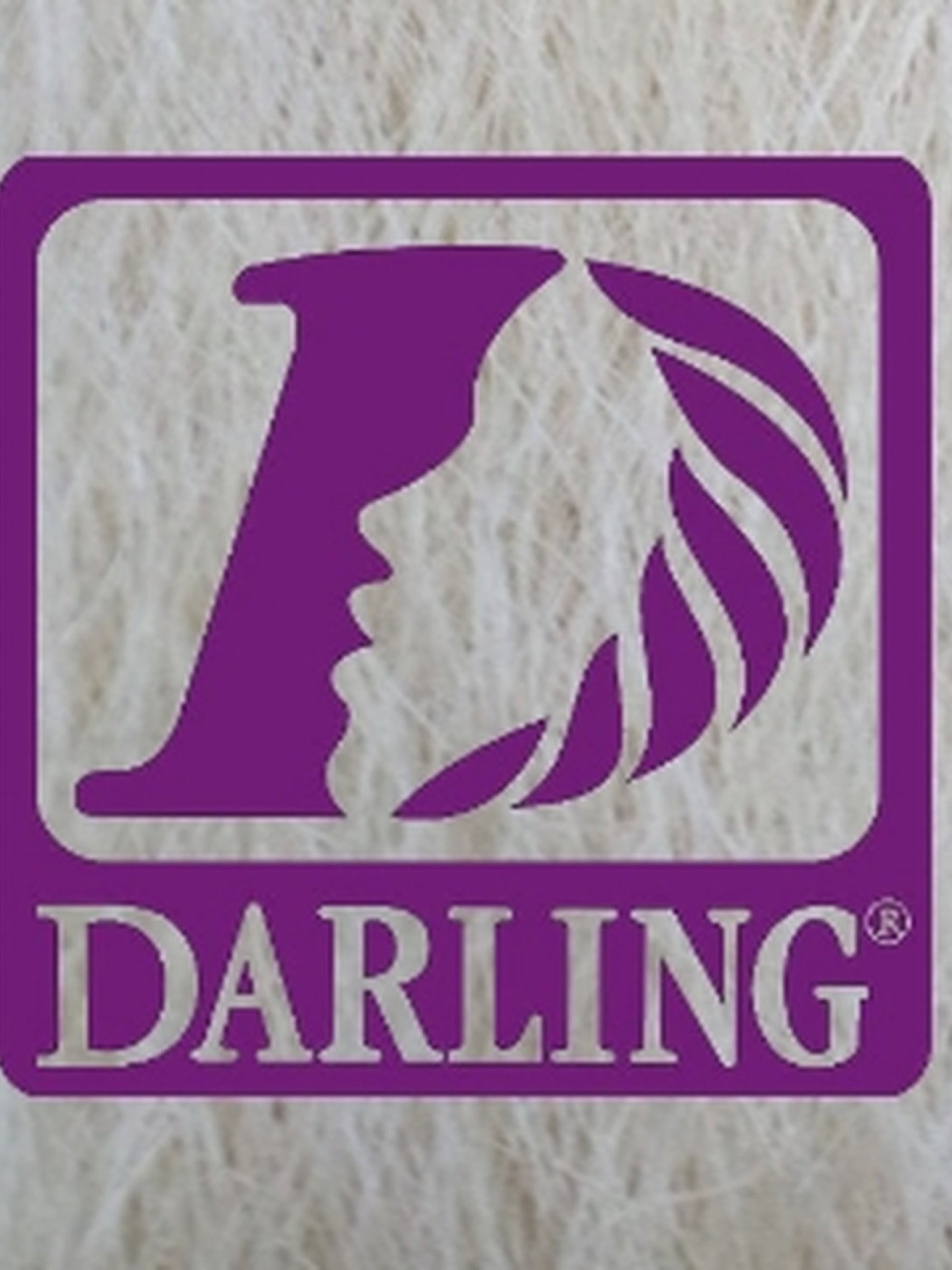 Darling Jumbo Braid - 613