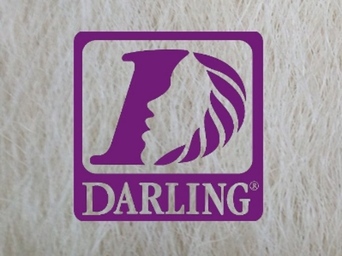 Darling Jumbo Braid - 613