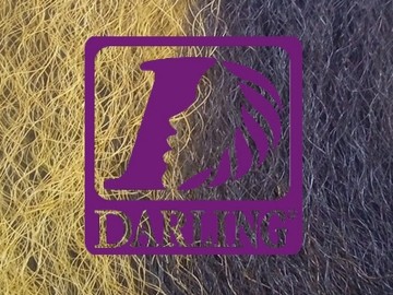 Darling Jumbo Braid - 2/144