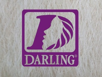 Darling Jumbo Braid - 613