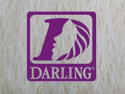Darling Jumbo Braid - 613 - Image product