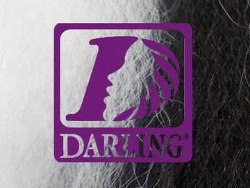 Darling Jumbo Braid - 2/60