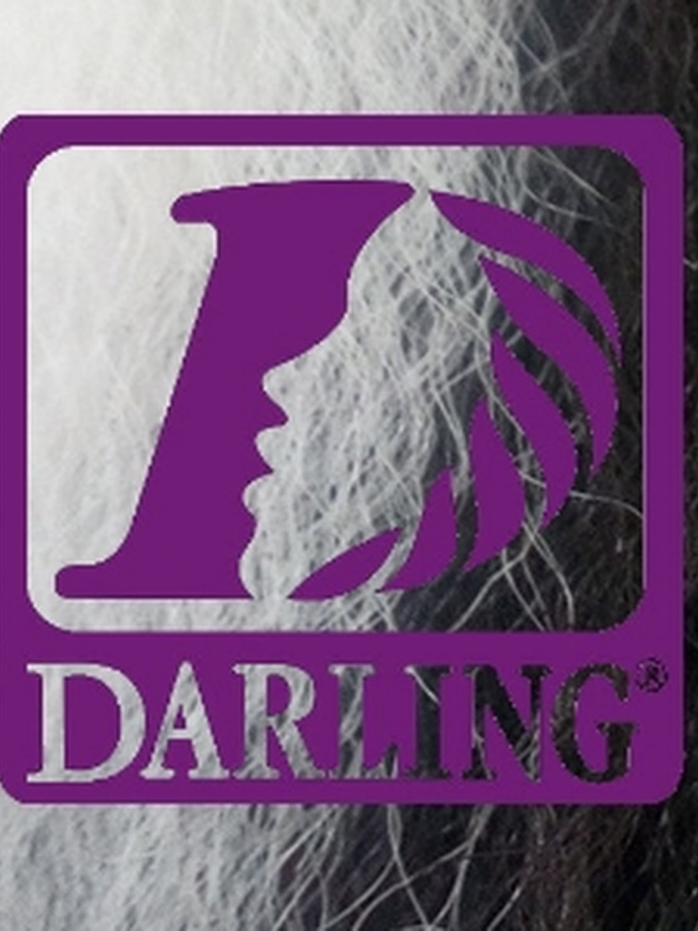 Darling Jumbo Braid - 2/60