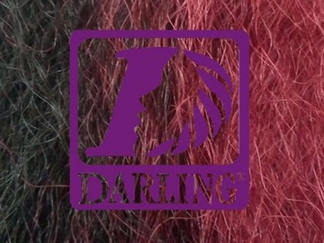 Darling Jumbo Braid -2/39