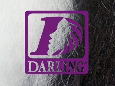 Darling Jumbo Braid - 2/60 - Image product
