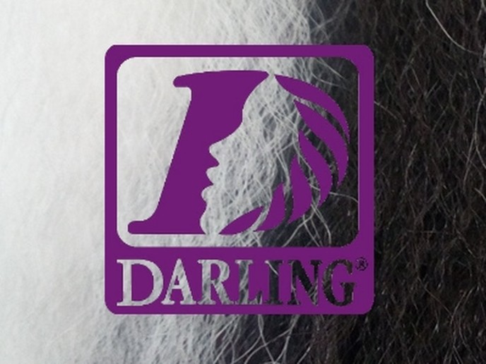 Darling Jumbo Braid - 2/60