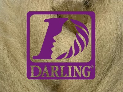 Darling Jumbo Braid - 220 - Image product