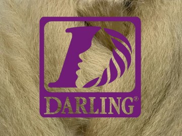 Darling Jumbo Braid - 220