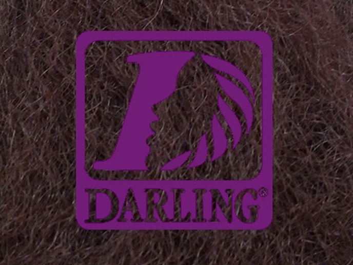 Darling Jumbo Braid - 33