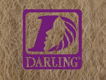 Darling Jumbo Braid - 27