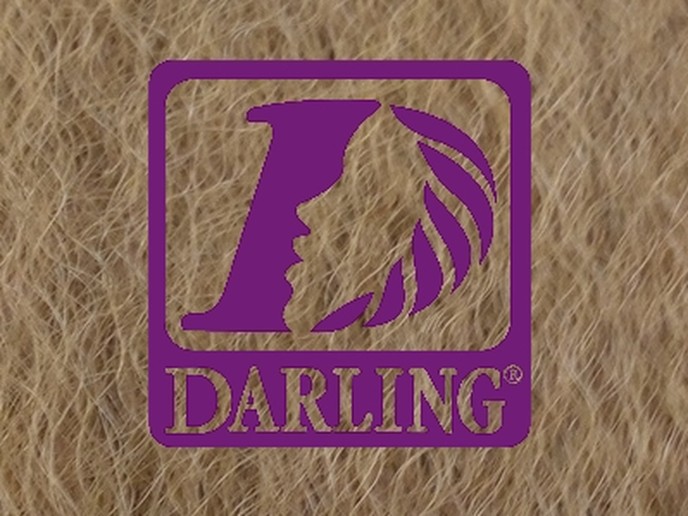Darling Jumbo Braid - 27