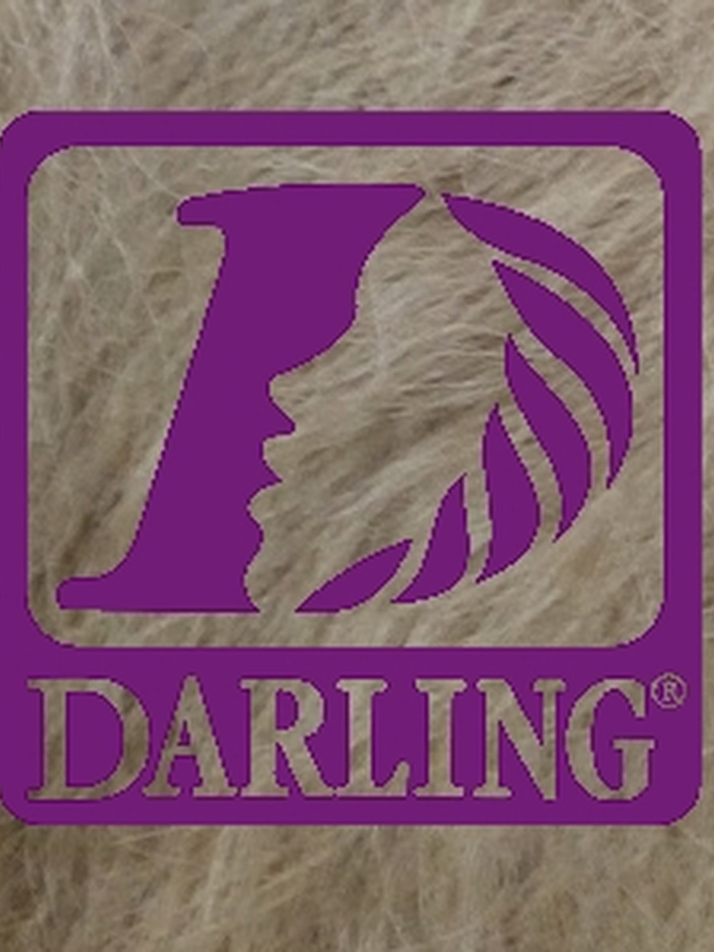 Darling Jumbo Braid - 24