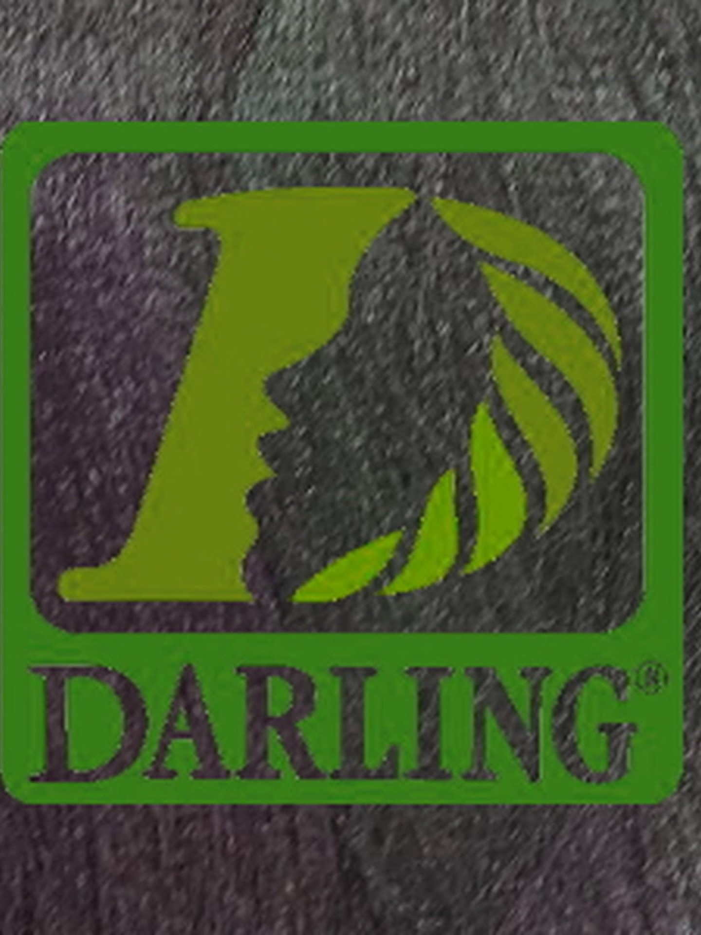 Darling Xpression - T2/Violet