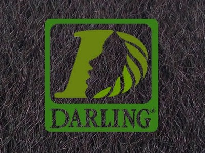 Darling Xpression - 1B - Image product
