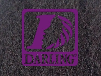 Darling Jumbo Braid - 1B - Image product