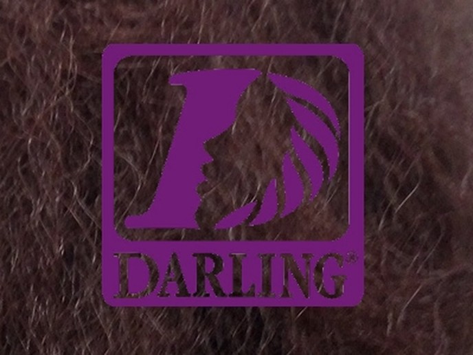 Darling Jumbo Braid - 99J