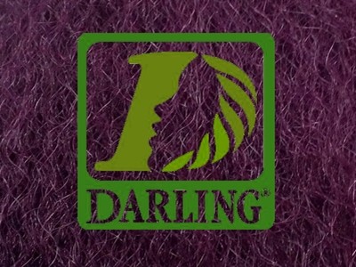 Darling Xpression - Violeta - Image product