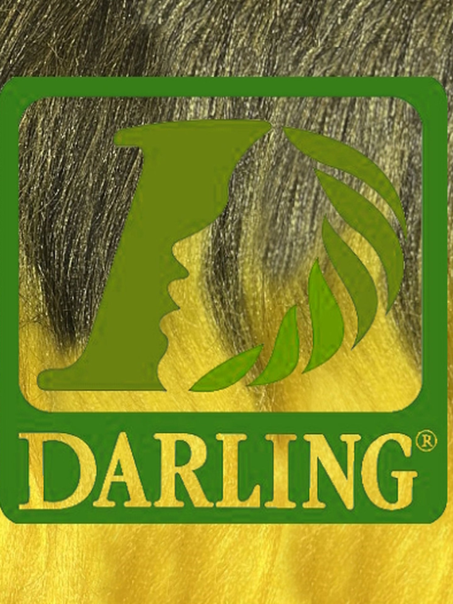 Darling Xpression - T2 Jaune