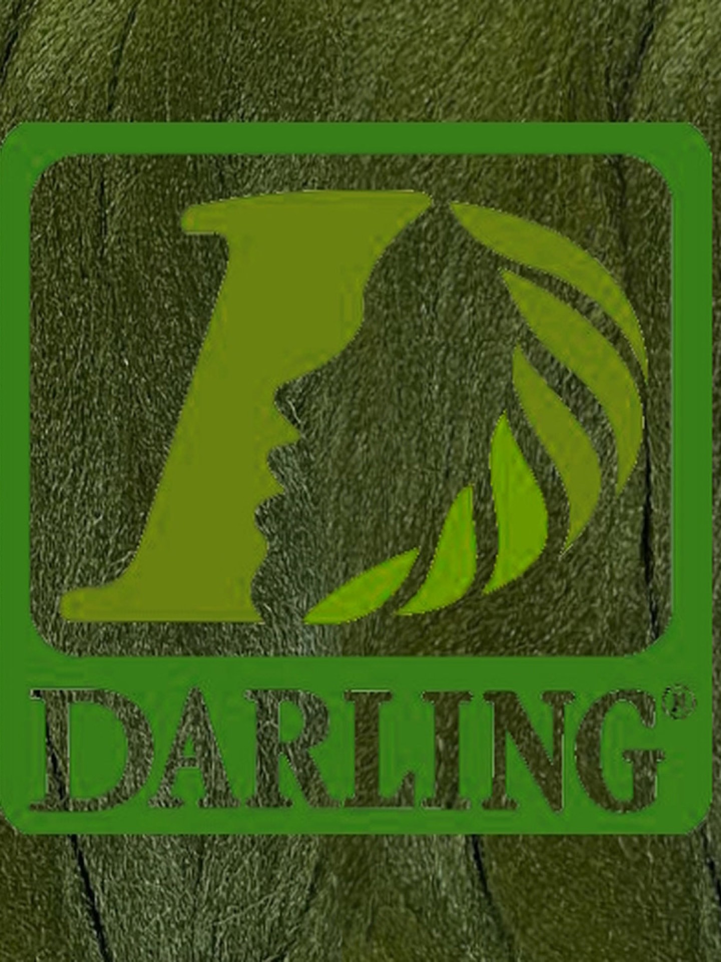 Darling Xpression - Vert Olive