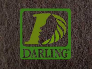 Darling Xpression - T8