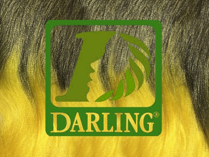 Darling Xpression - T2 Jaune