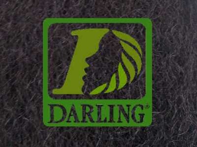 Darling Xpression - T2 - Image product