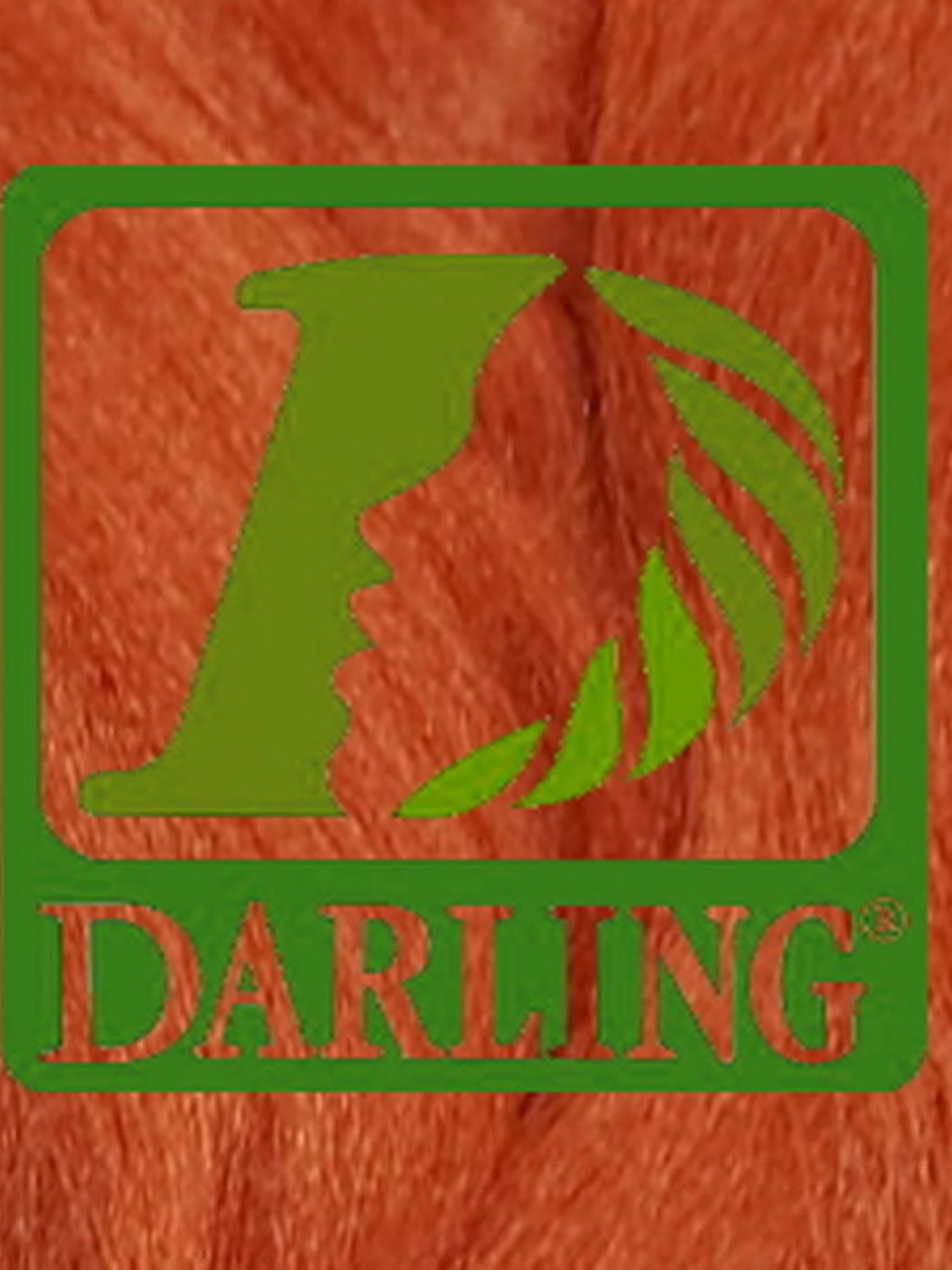Darling Xpression no Orange