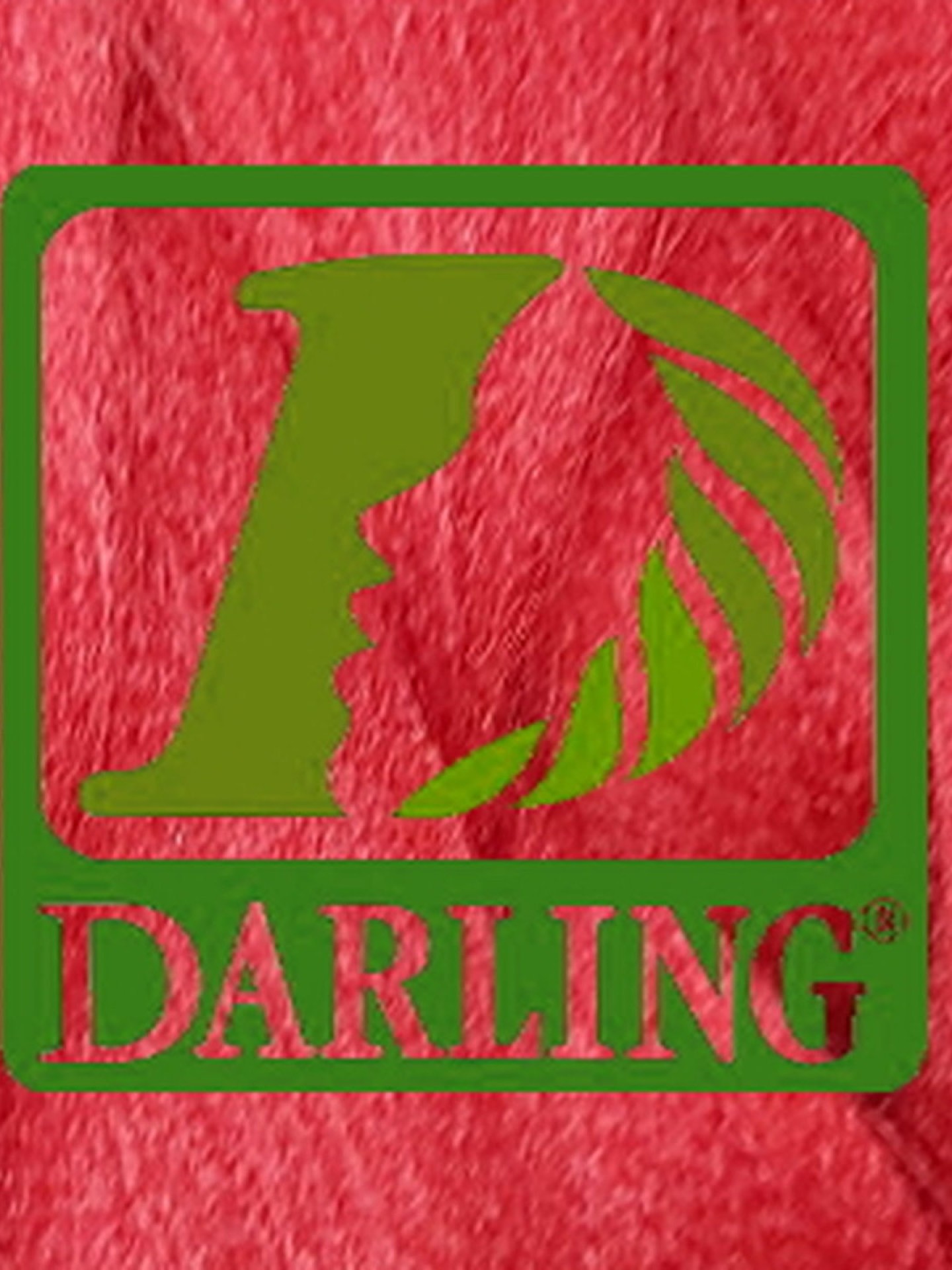Darling Xpression no Rouge