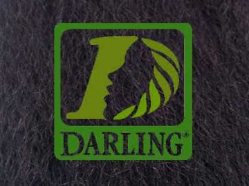 Darling Xpression - T1