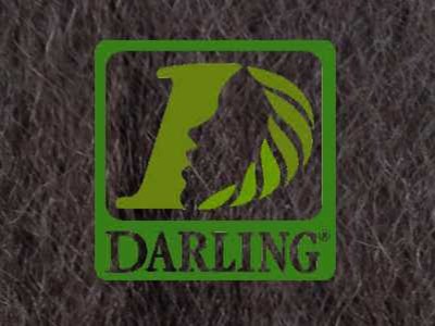 Darling Xpression - T4 - Image product